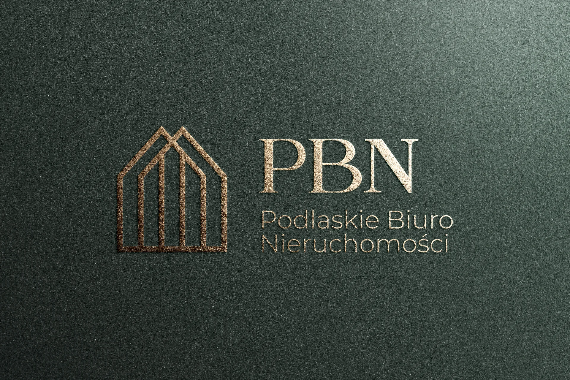 PBN logo | Papaja.pro